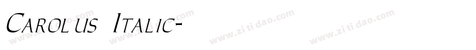 Carolus Italic字体转换